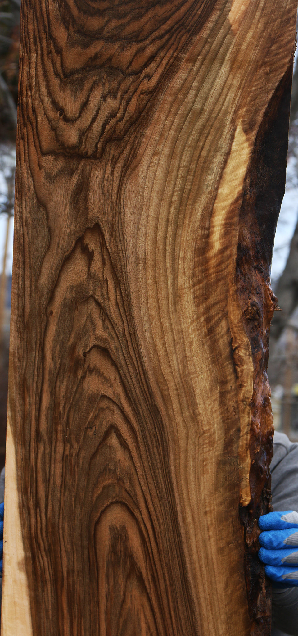 English Walnut Slab