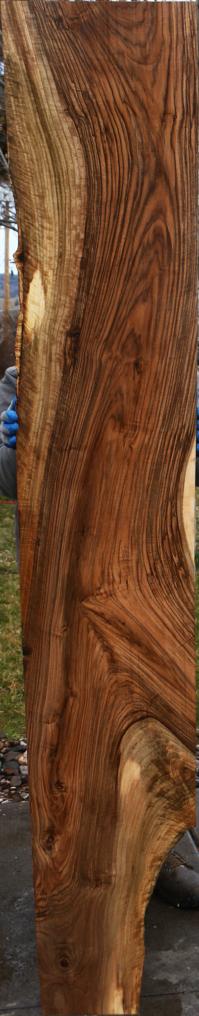 English Walnut Slab