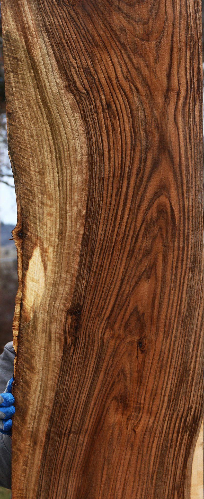 English Walnut Slab
