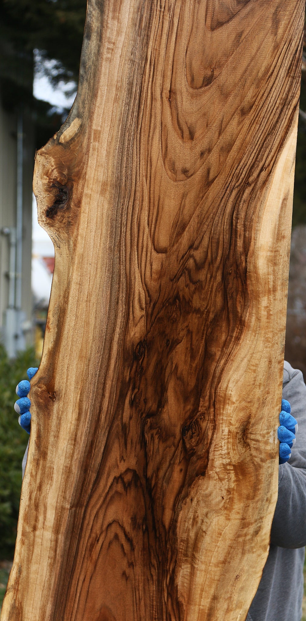 English Walnut Live Edge Slab