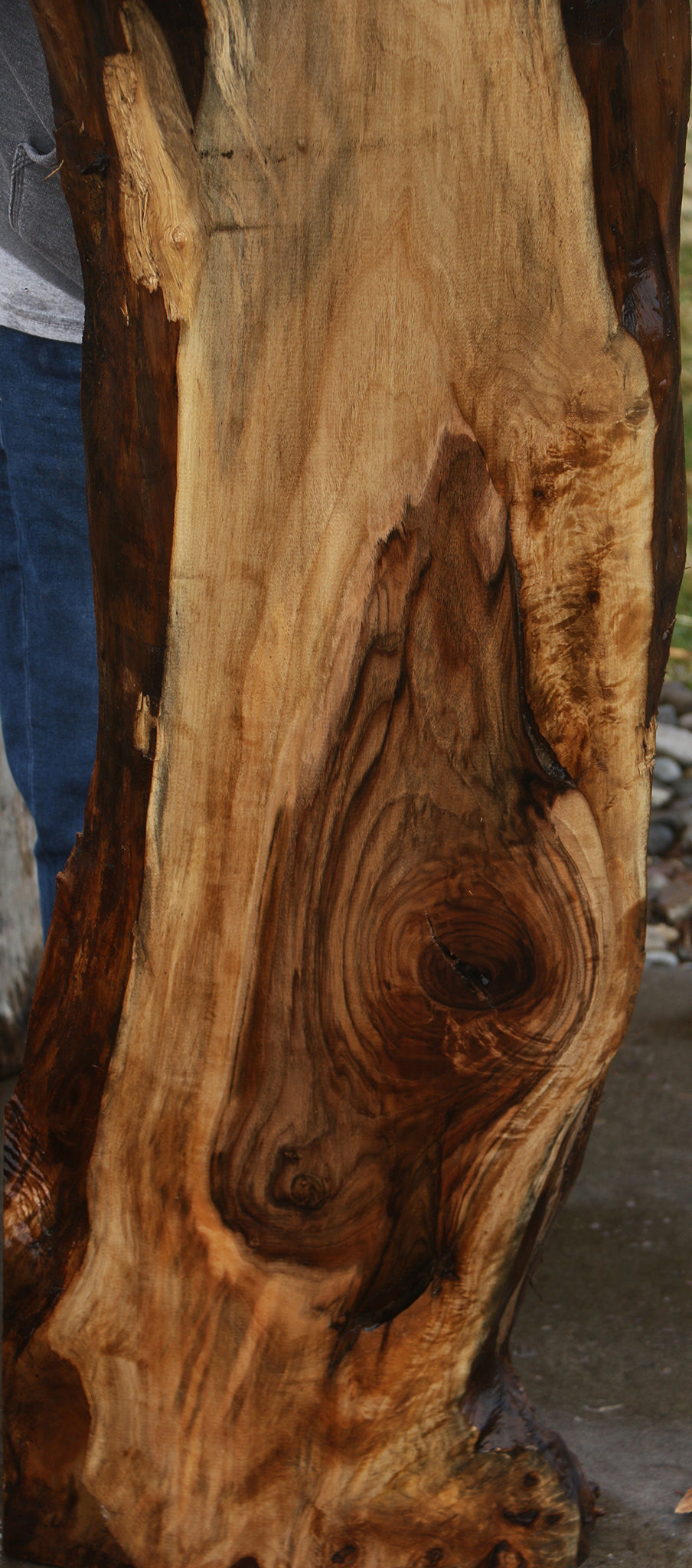 English Walnut Live Edge Slab