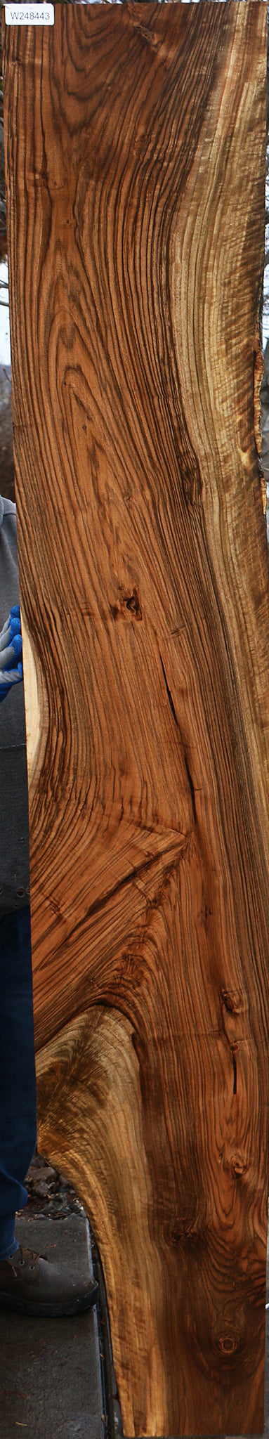English Walnut Slab