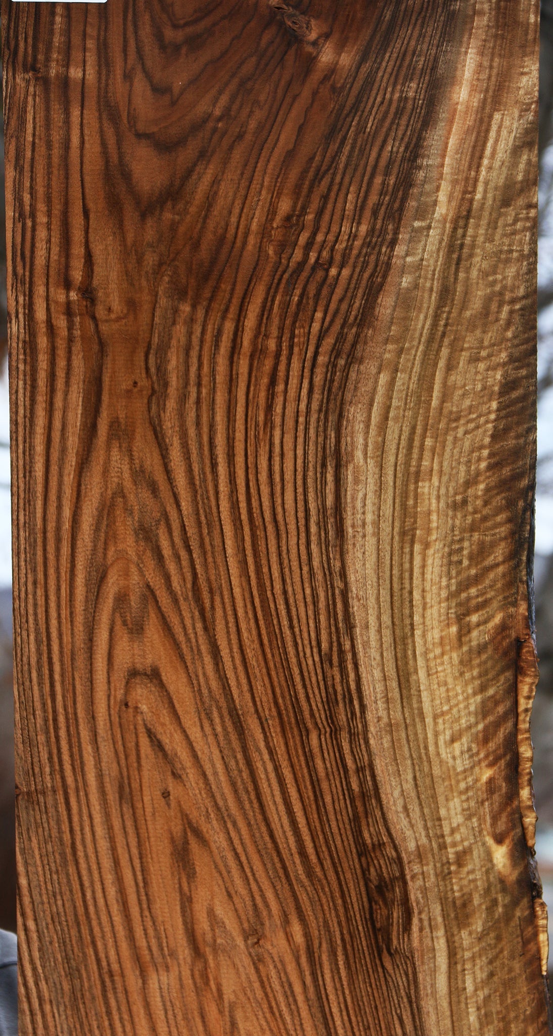 English Walnut Slab