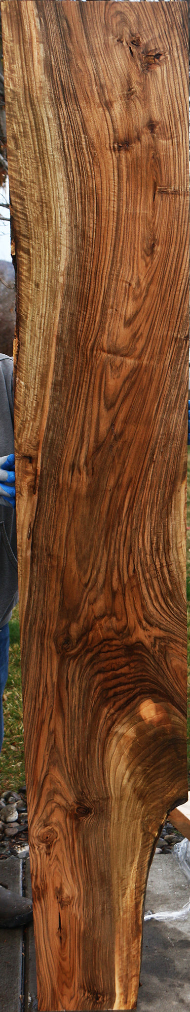 English Walnut Slab