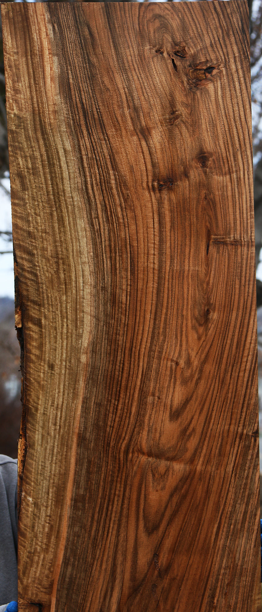 English Walnut Slab