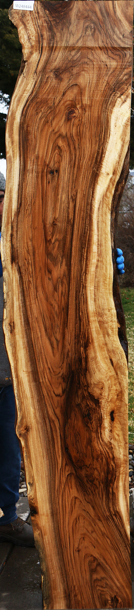 Figured English Walnut Live Edge Slab