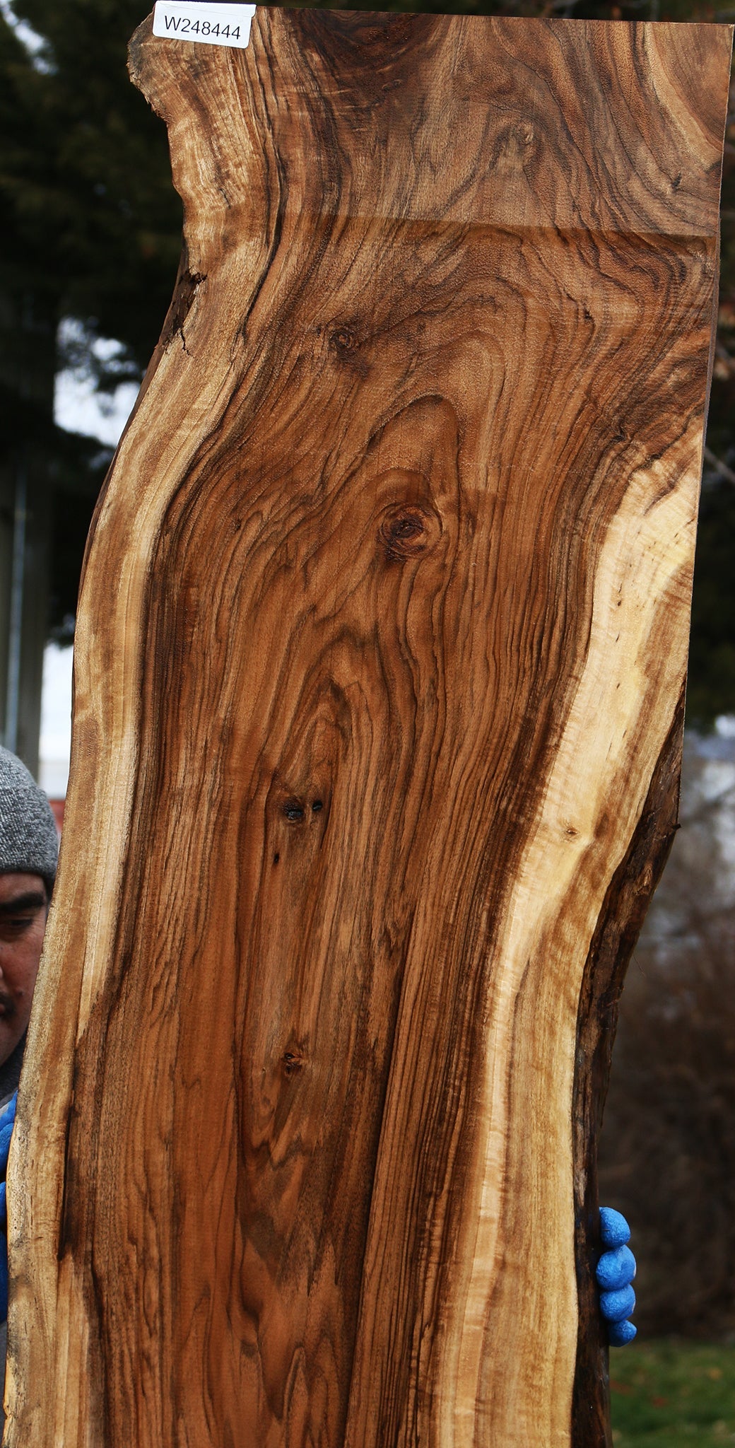 Figured English Walnut Live Edge Slab