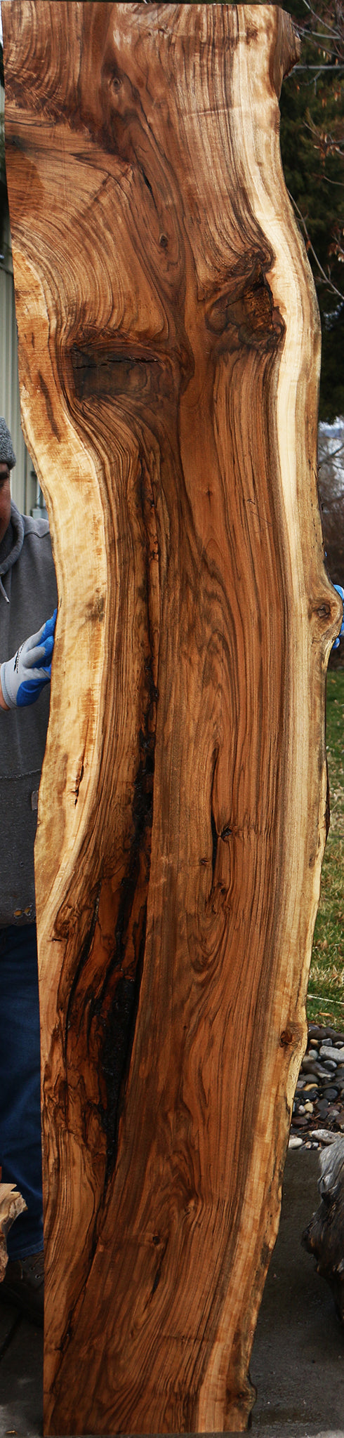 Figured English Walnut Live Edge Slab