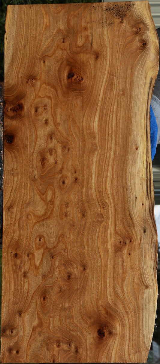 Extra Fancy Elm Burl Live Edge Lumber
