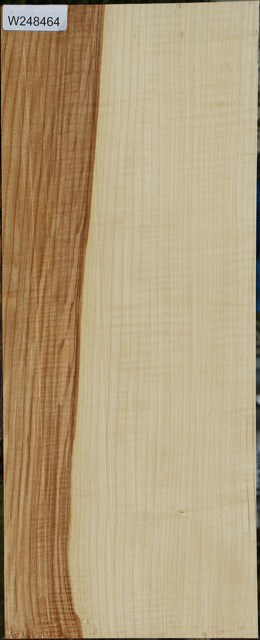 Fiddleback Ash Micro Lumber
