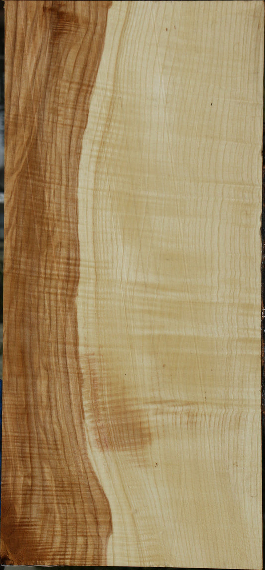 Fiddleback Ash Micro Lumber
