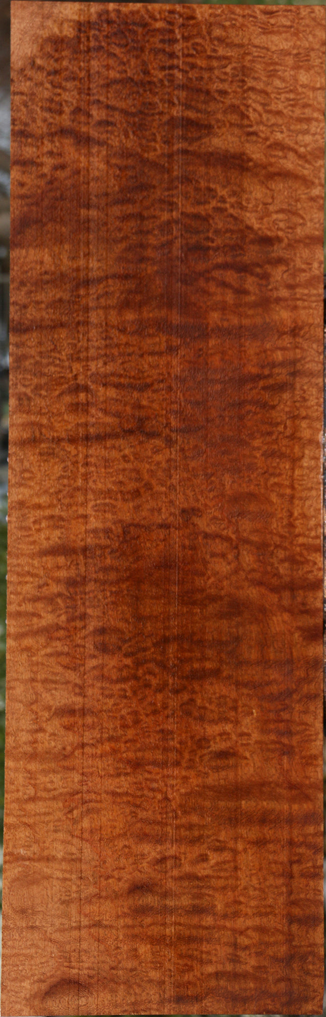 Exhibition Pomelle Sapele Instrument Lumber