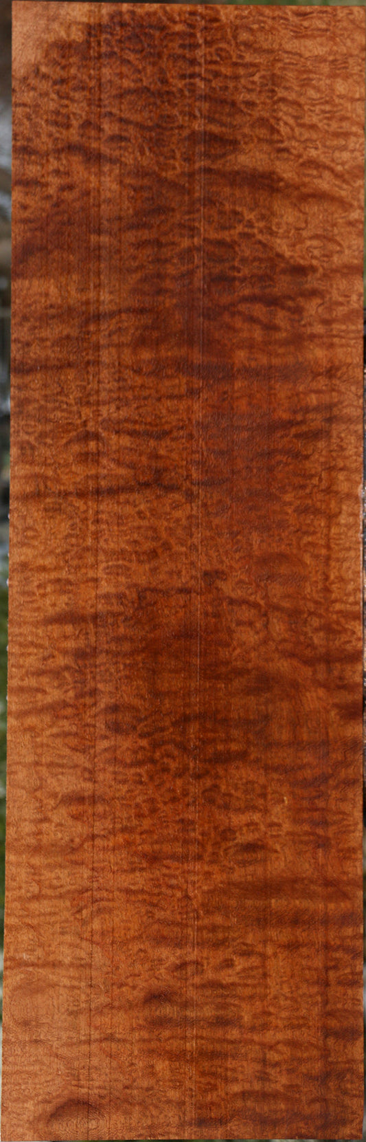 Exhibition Pomelle Sapele Instrument Lumber