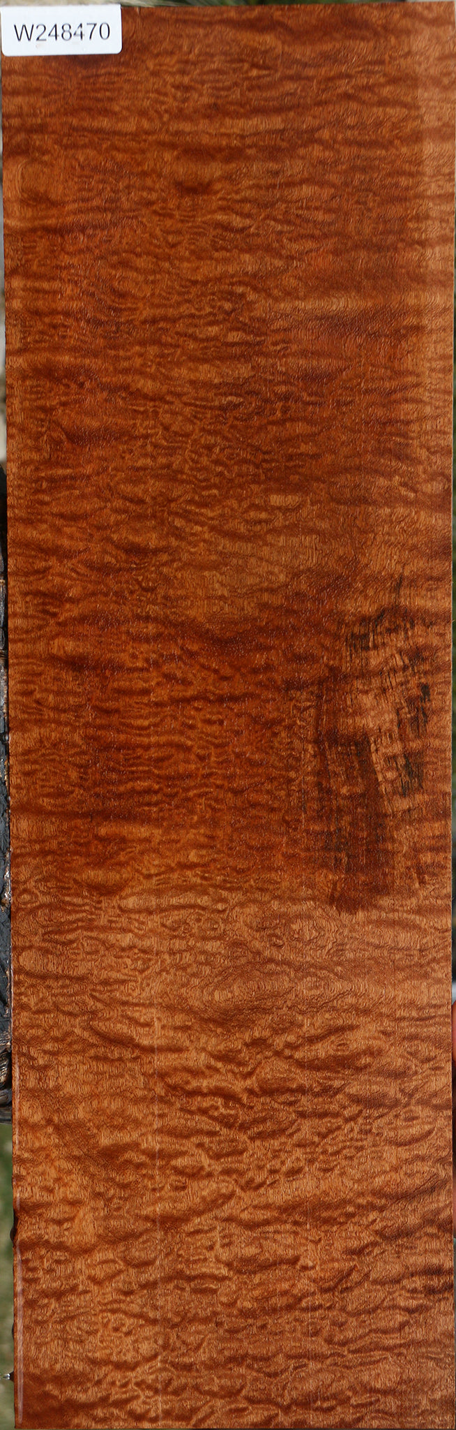 Exhibition Pomelle Sapele Instrument Lumber