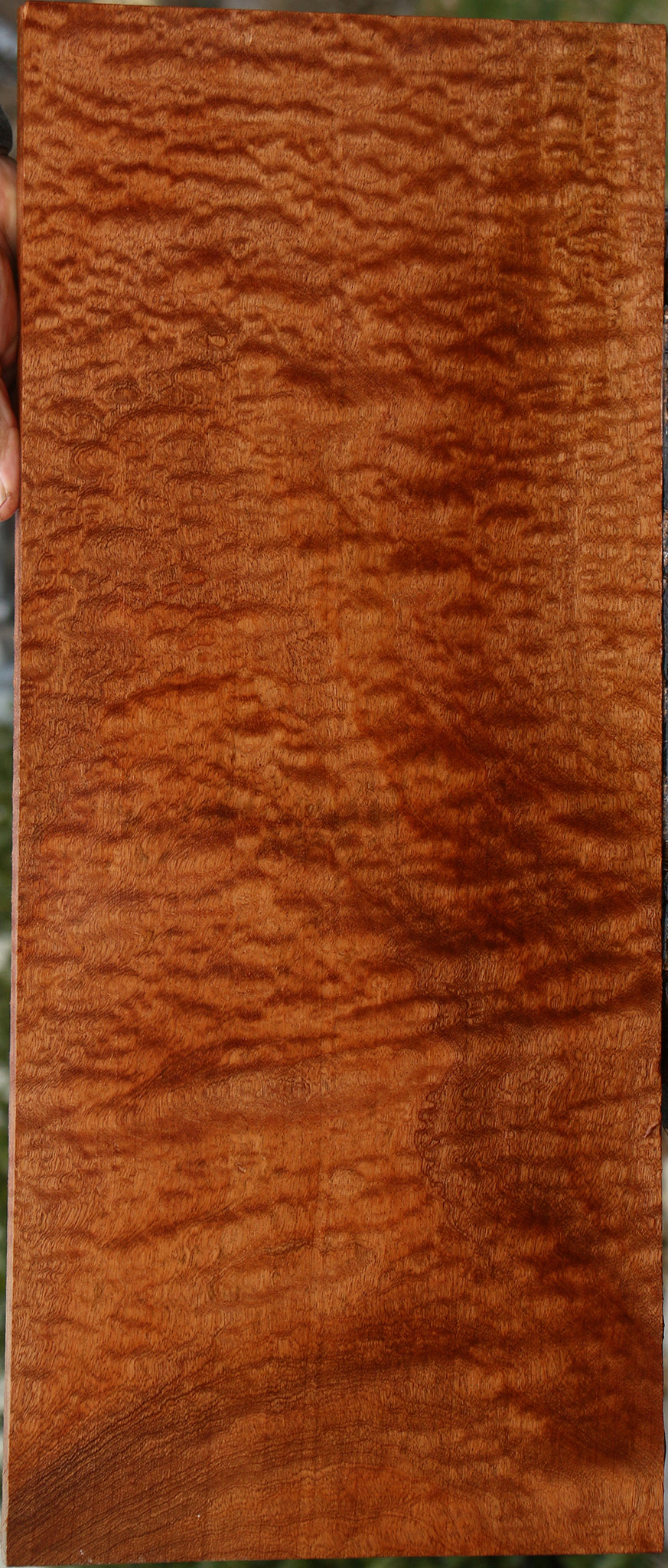Exhibition Pomelle Sapele Lumber