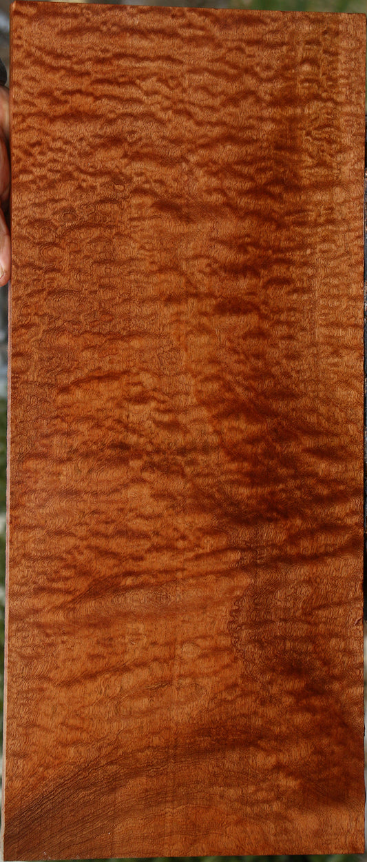 Exhibition Pomelle Sapele Lumber