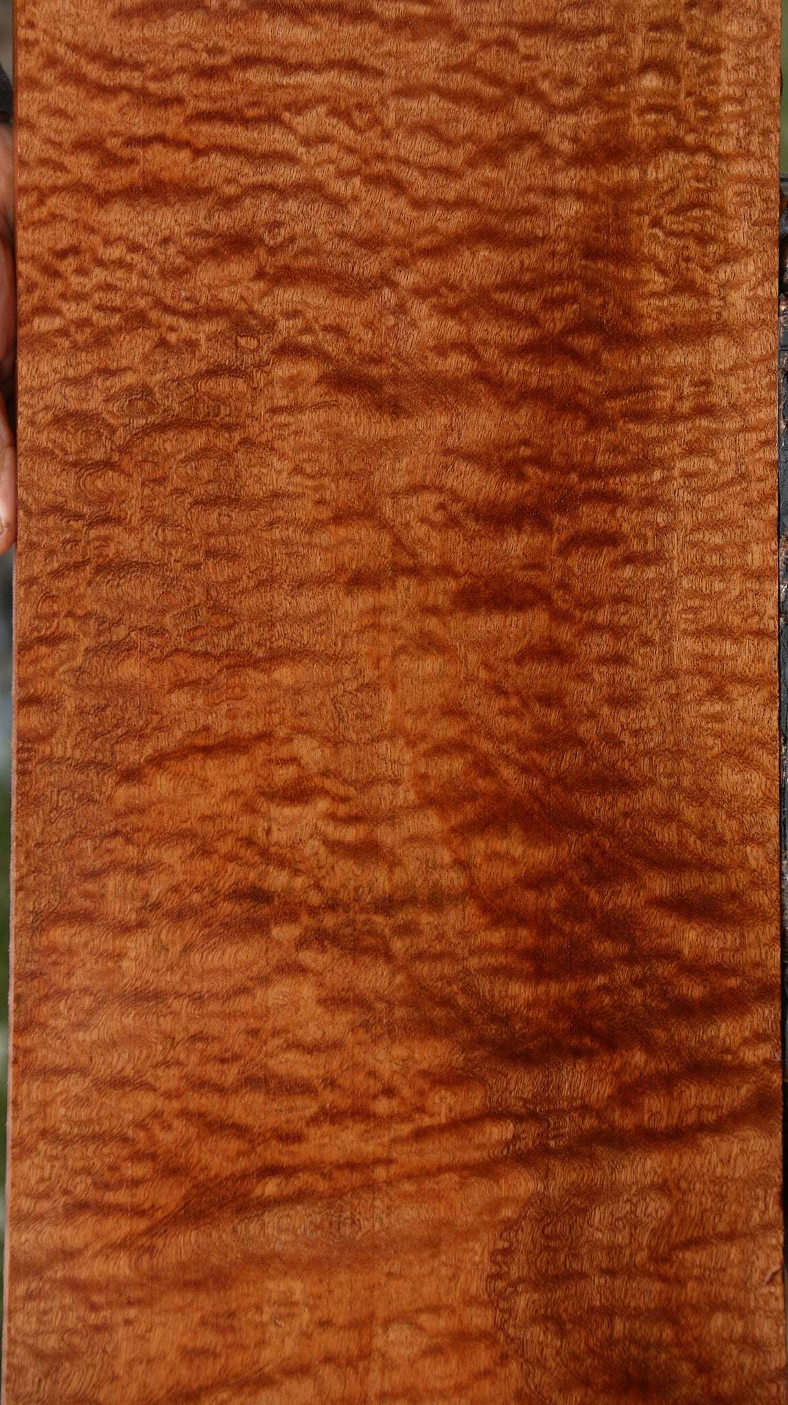 Exhibition Pomelle Sapele Lumber