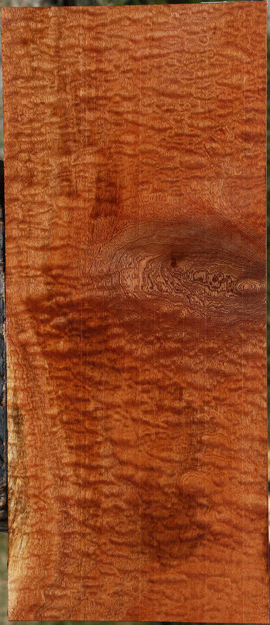 Exhibition Pomelle Sapele Instrument Lumber