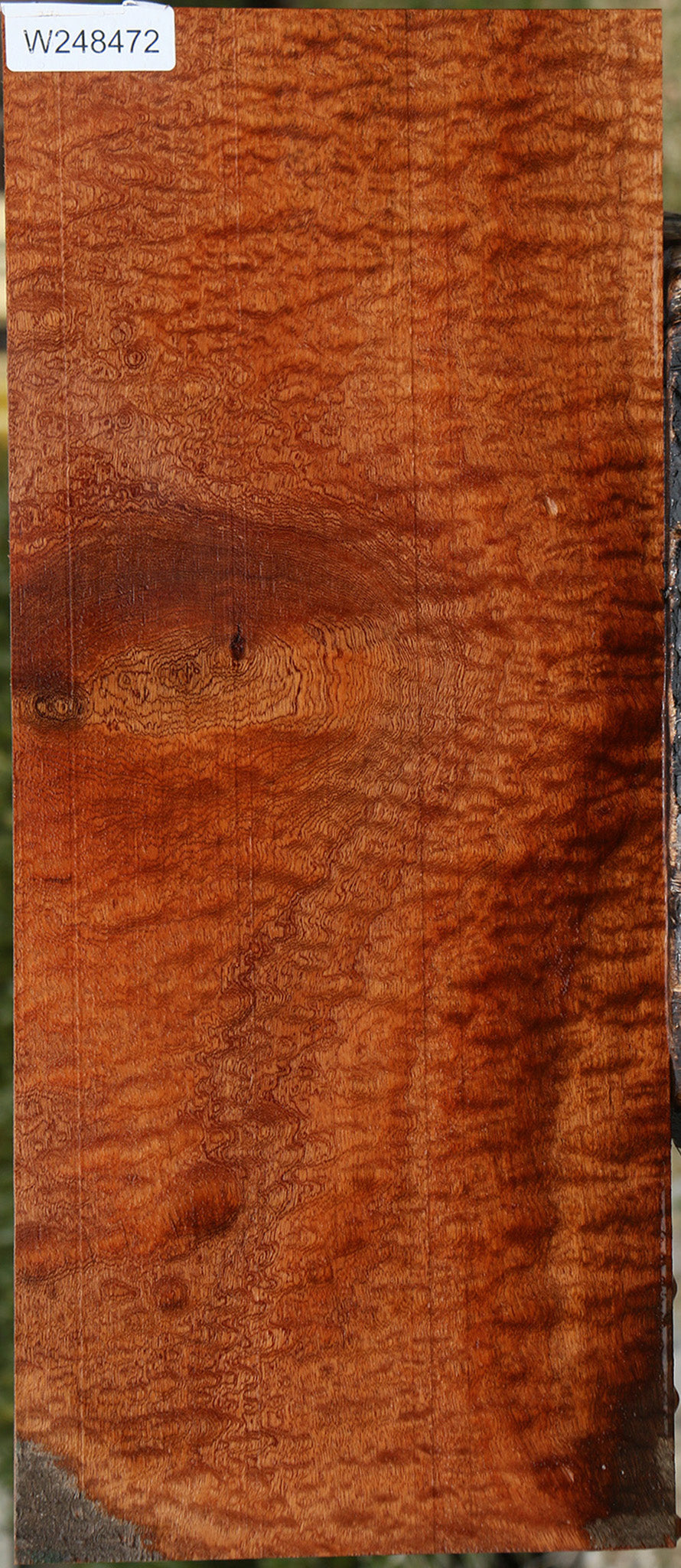 Exhibition Pomelle Sapele Instrument Lumber