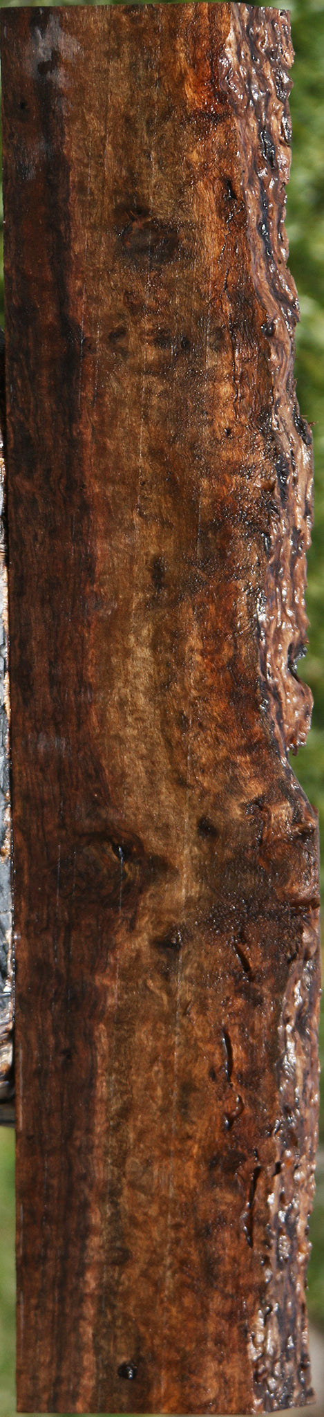 Extra Fancy Quilted Claro Walnut Live Edge Lumber