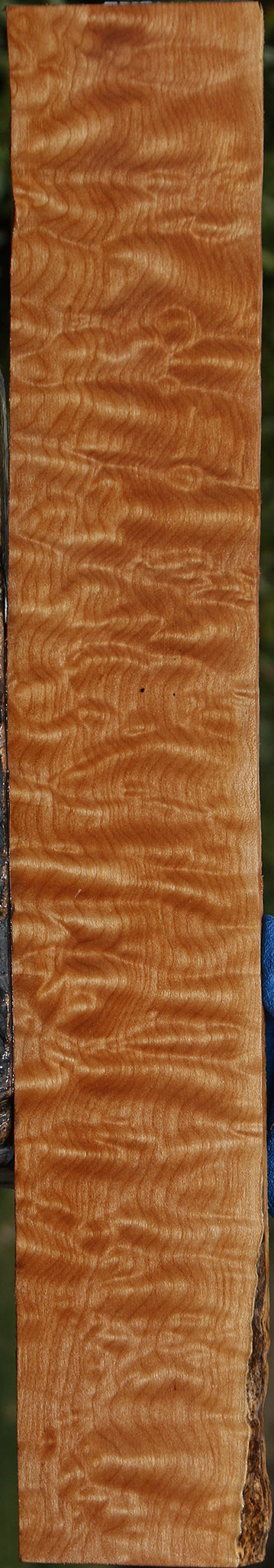 AAAAA Quilted Maple Lumber