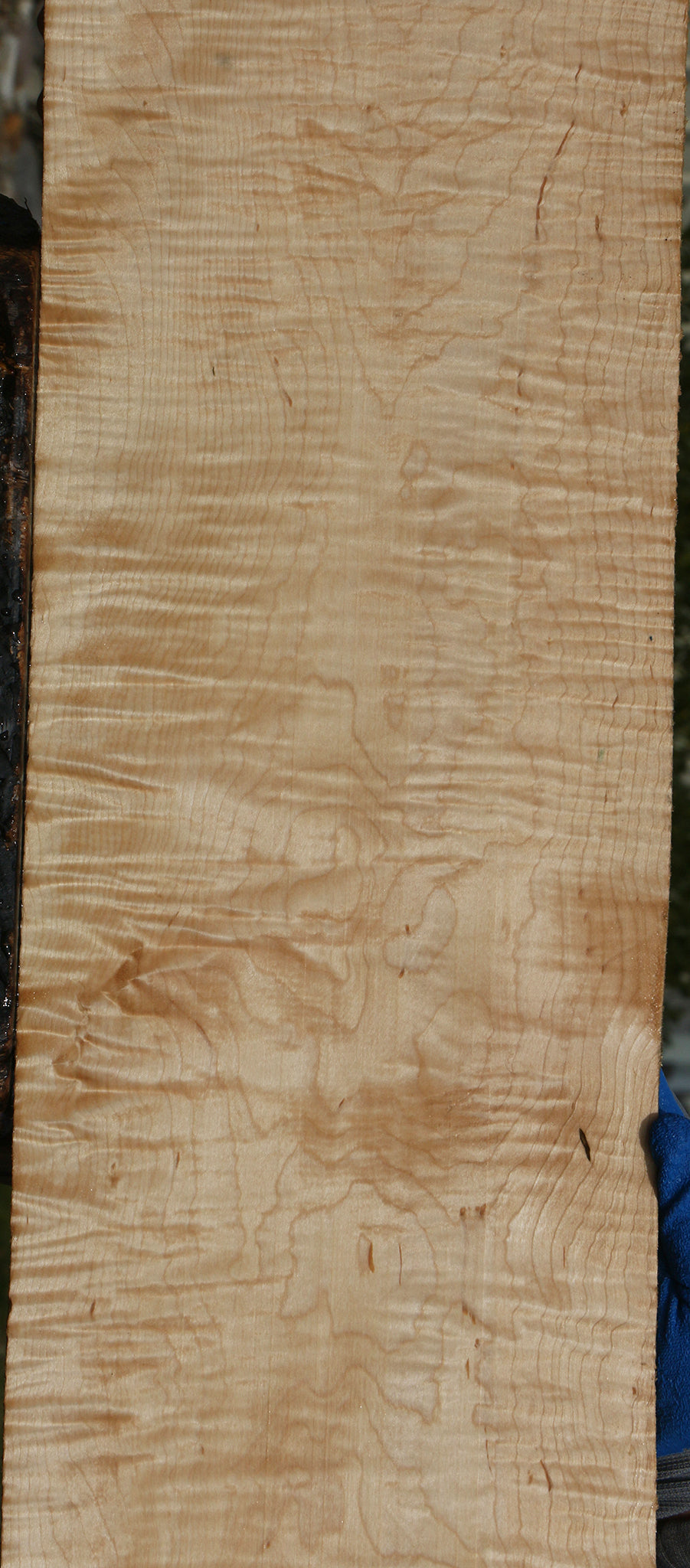 Extra Fancy Maple Lumber