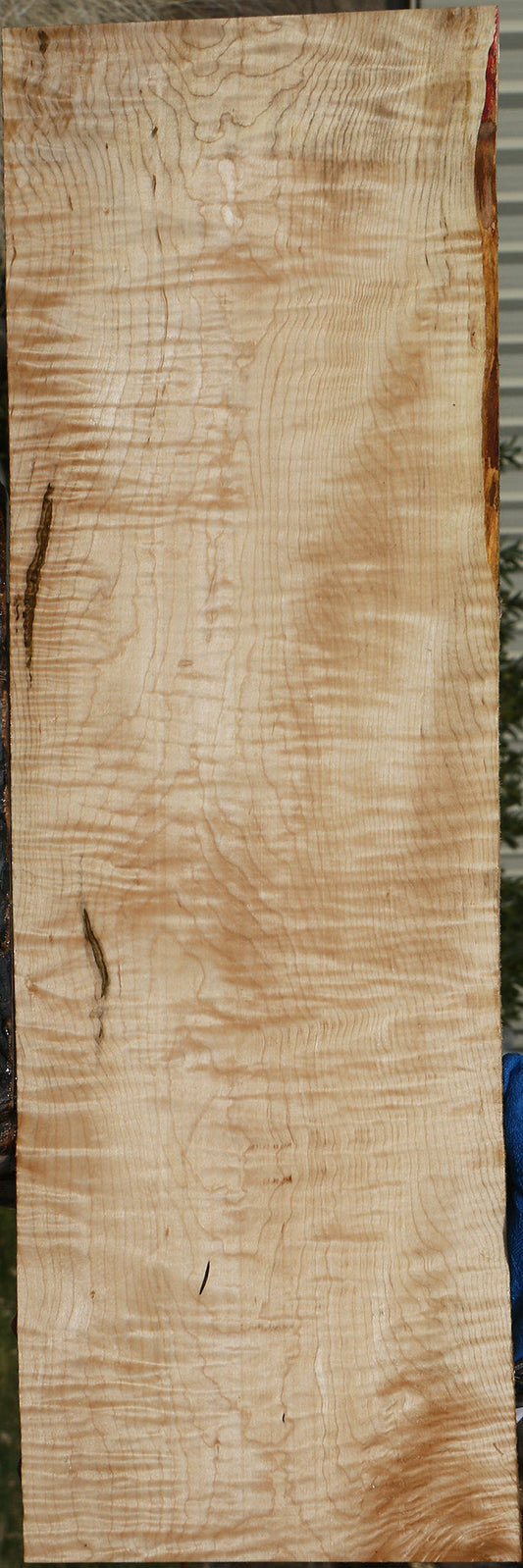 Extra Fancy Maple Lumber