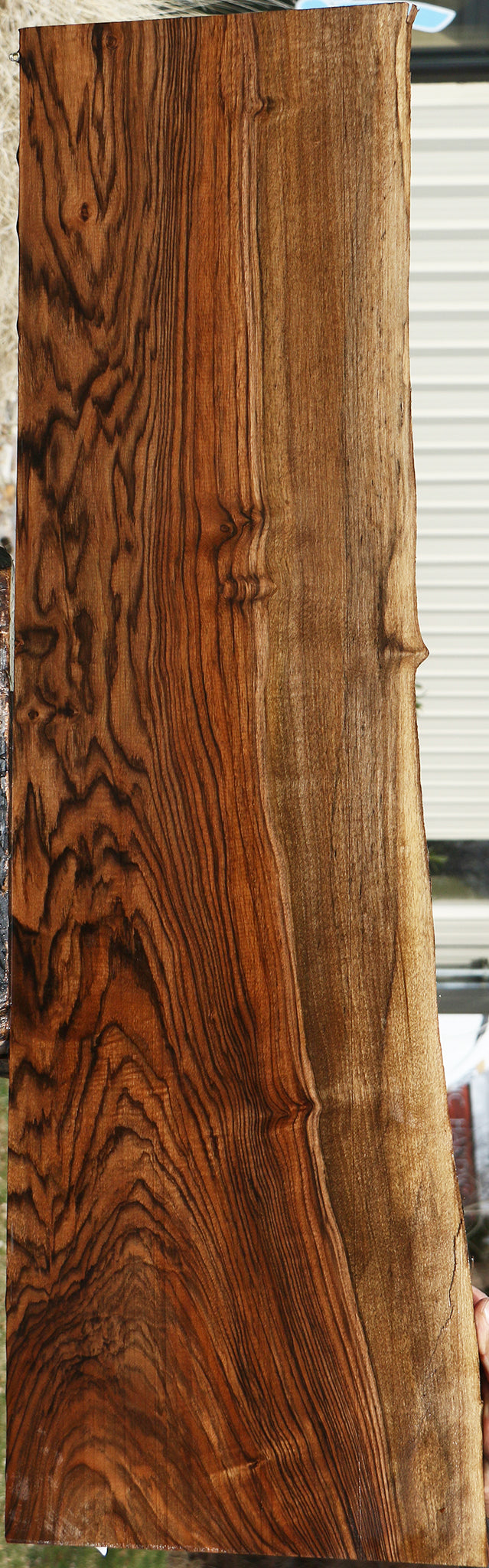 Extra Fancy English Walnut Live Edge Lumber