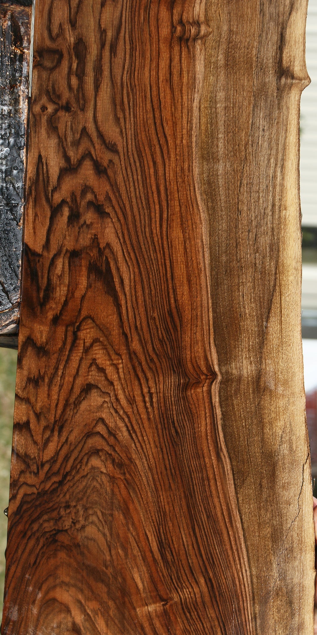 Extra Fancy English Walnut Live Edge Lumber