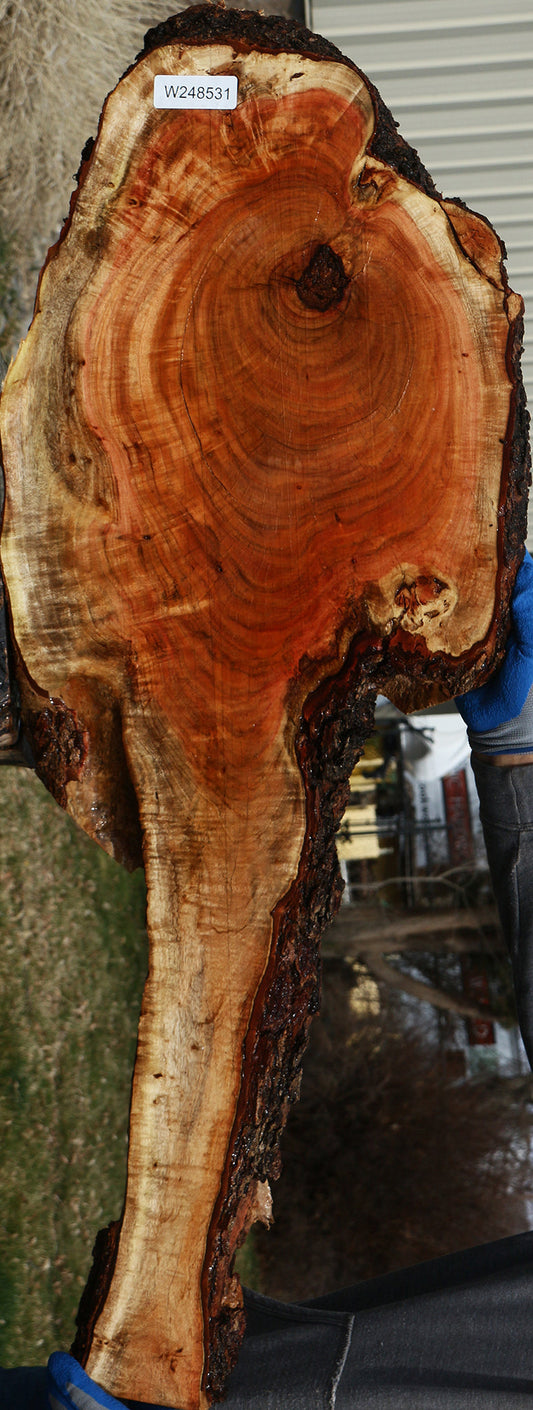 Carob Live Edge Lumber