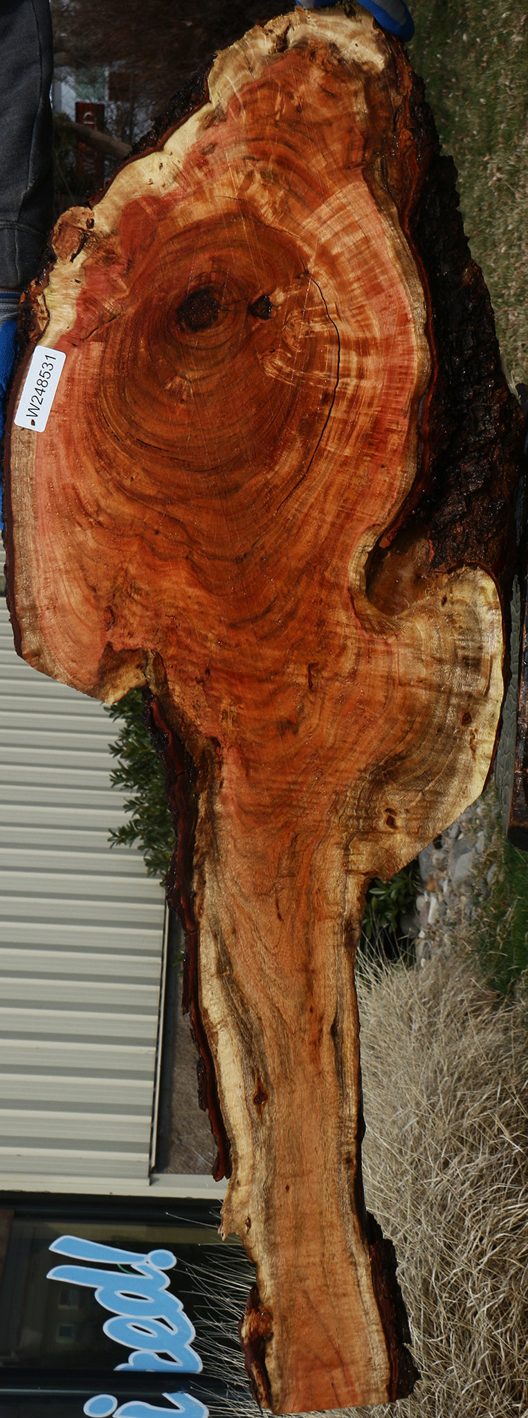 Carob Live Edge Lumber