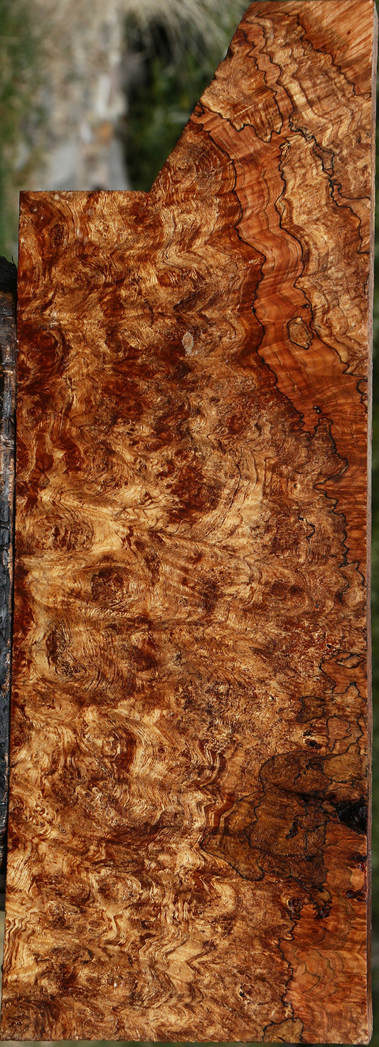 Spalted Maple Instrument Lumber