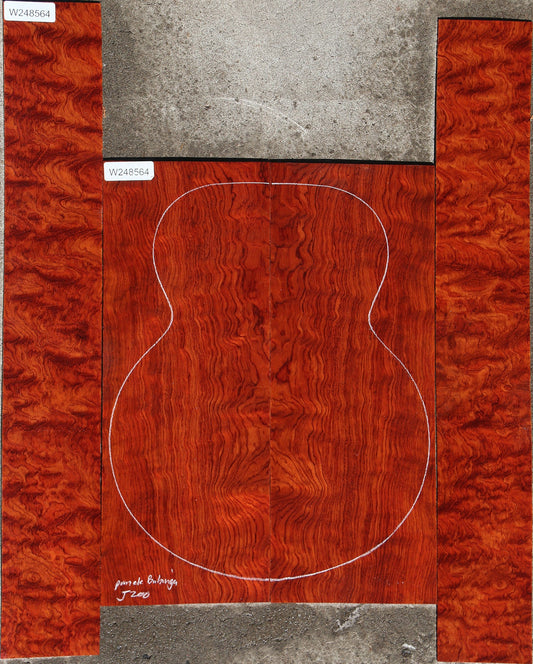 Pomelle Bubinga Jumbo Guitar Set