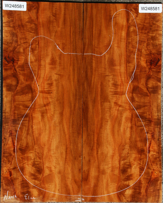 Narra Electric Guitar Back Set