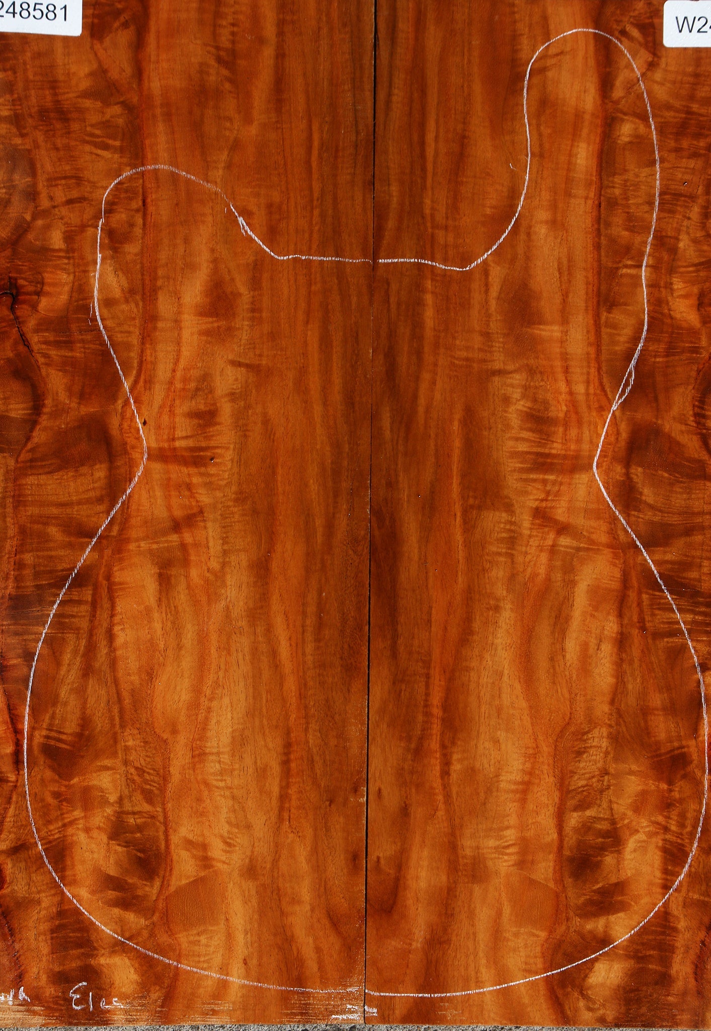 Narra Electric Guitar Back Set