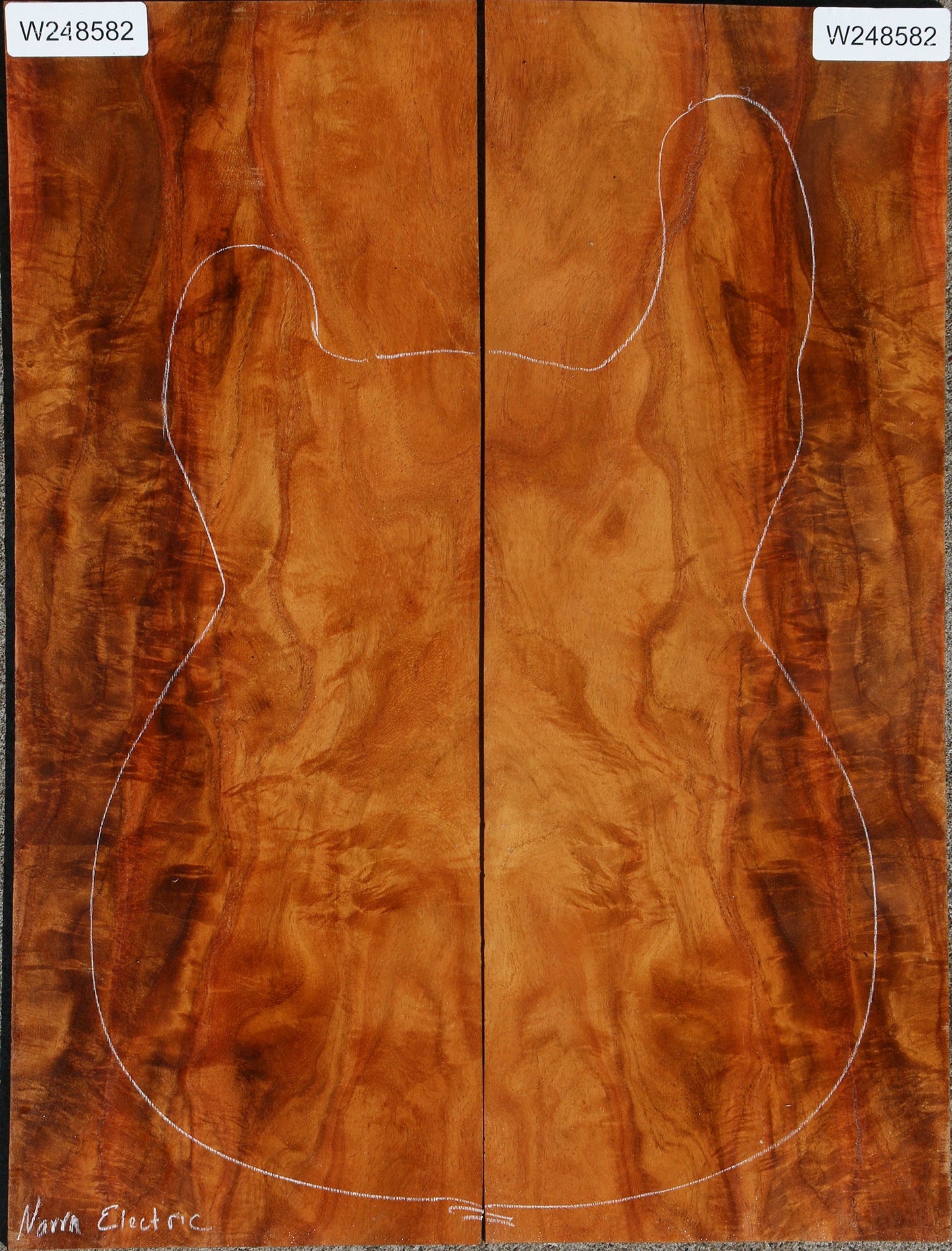 Narra Electric Guitar Back Set