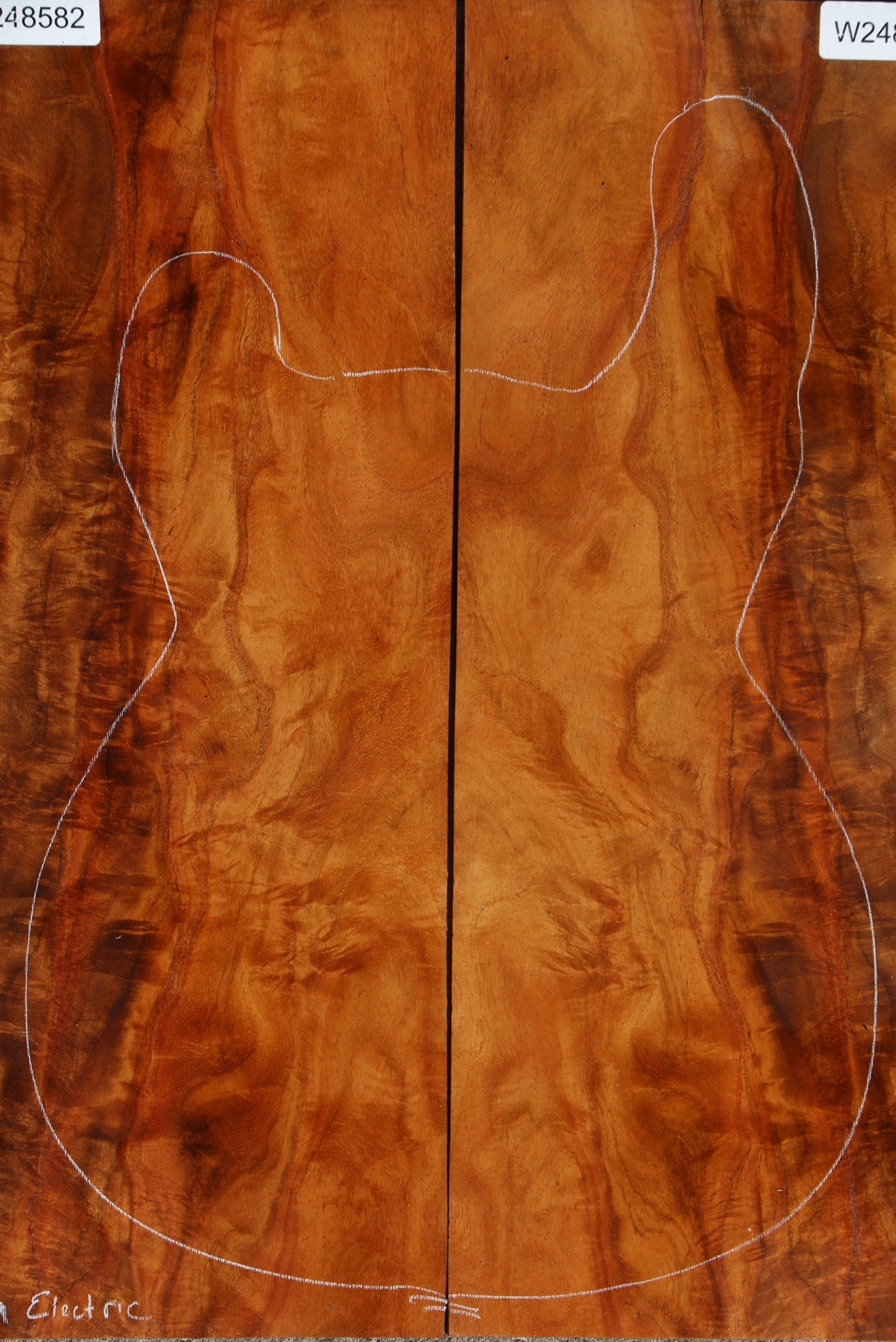 Narra Electric Guitar Back Set