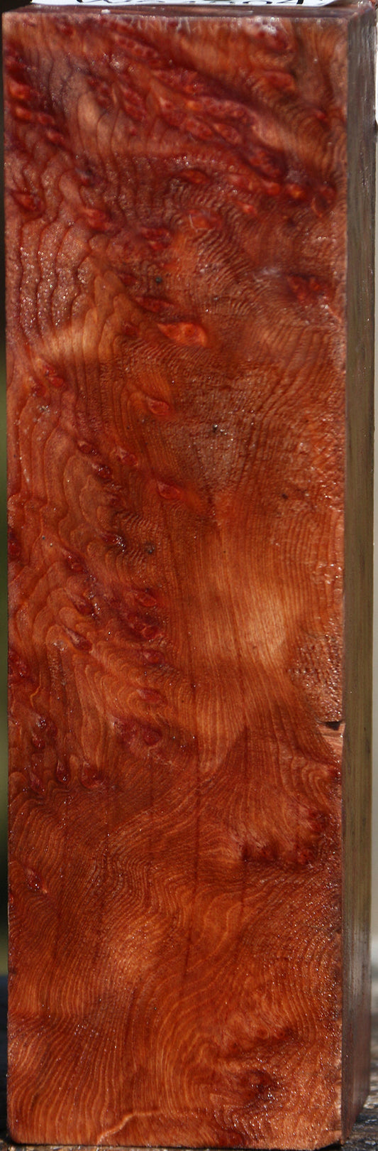 Redwood Lace Burl Turning Square