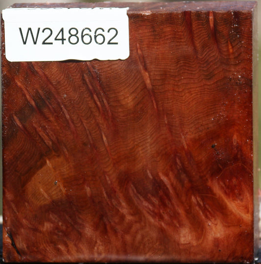 Extra Fancy Redwood Lace Bowl Blank