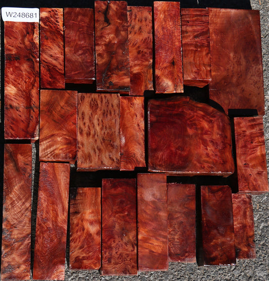 Redwood Lace Burl Turning Bargain Box