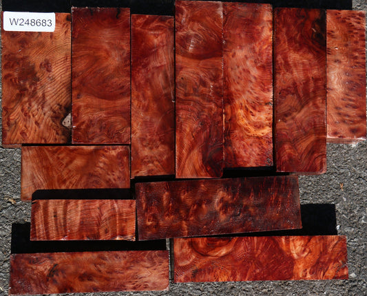 Redwood Lace Burl Turning Bargain Box