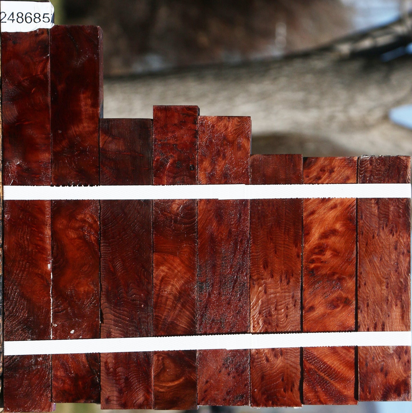 Redwood Lace Burl Turning Square 8 Pack