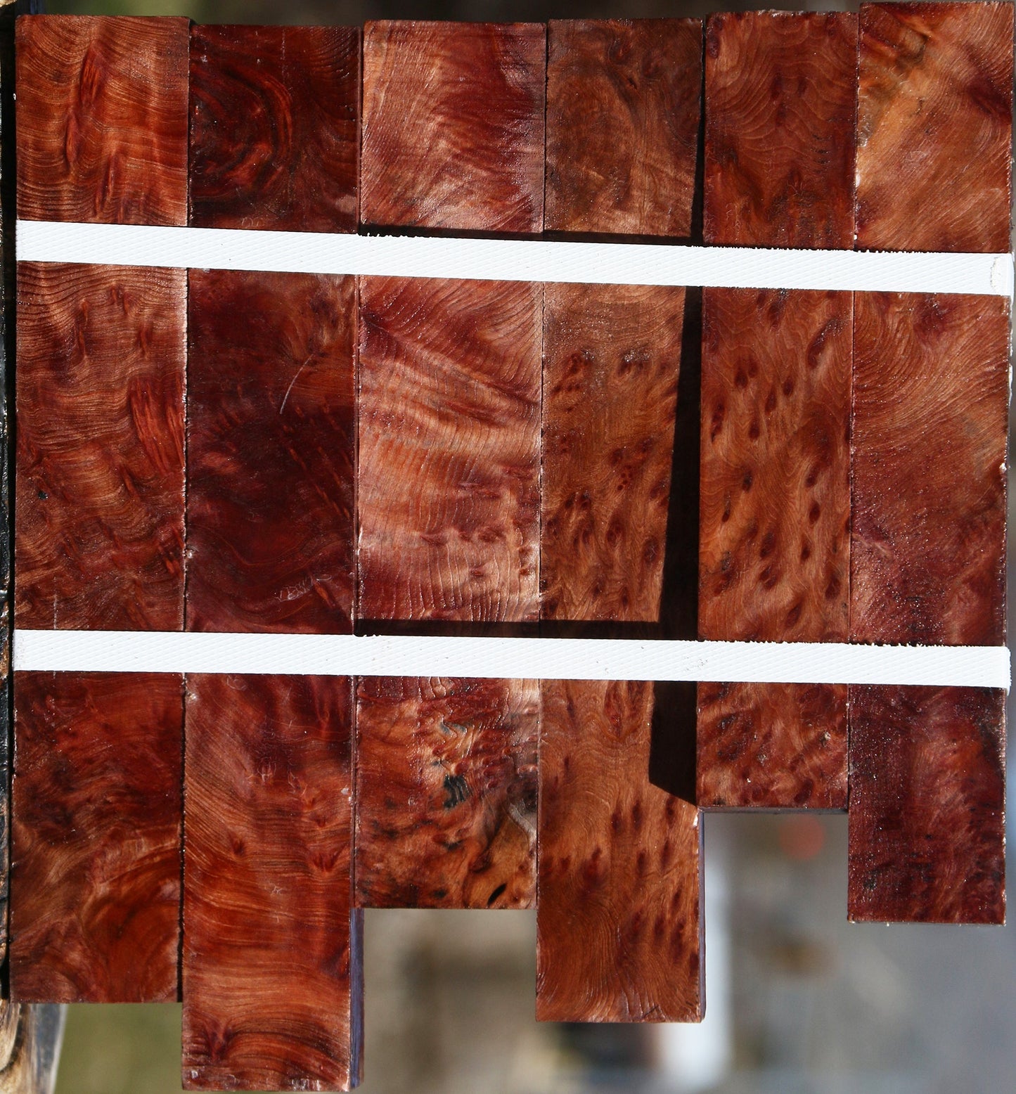 Redwood Lace Burl Turning Square 6 Pack