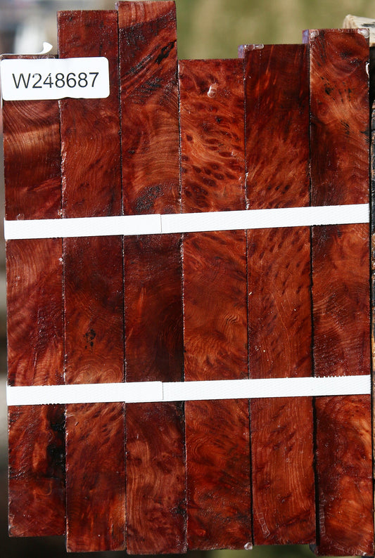 Redwood Lace Burl Turning Square 6 Pack