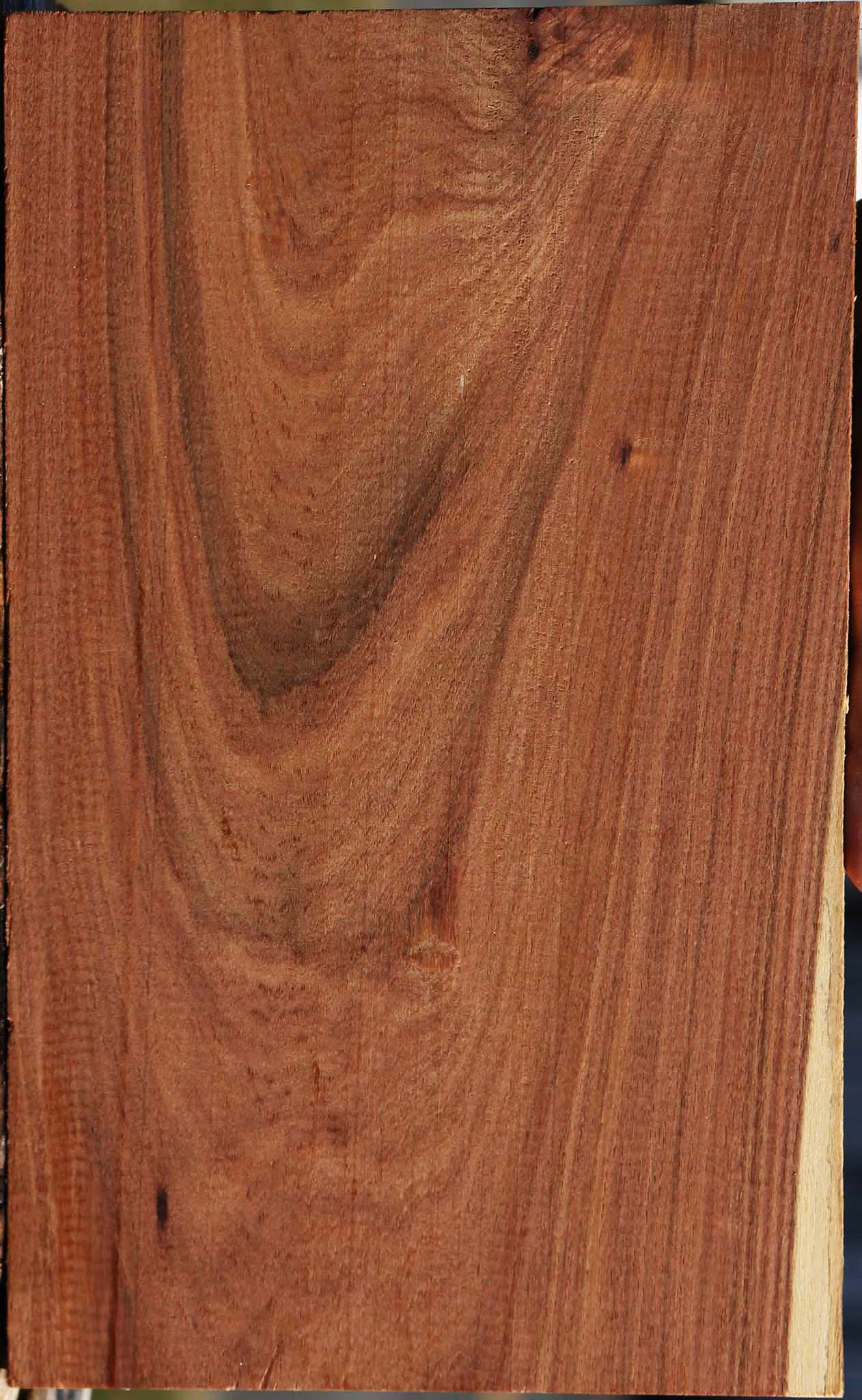 Madagascar Rosewood Lumber
