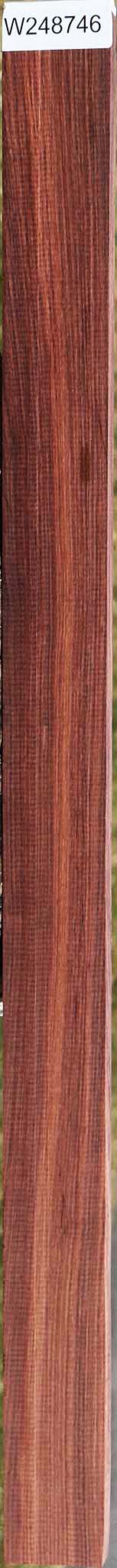 Quartersawn Madagascar Rosewood Lumber