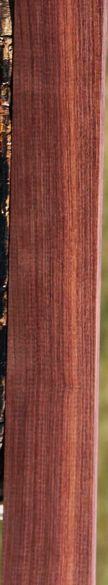 Quartersawn Madagascar Rosewood Lumber
