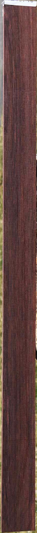 Madagascar Rosewood Micro Lumber