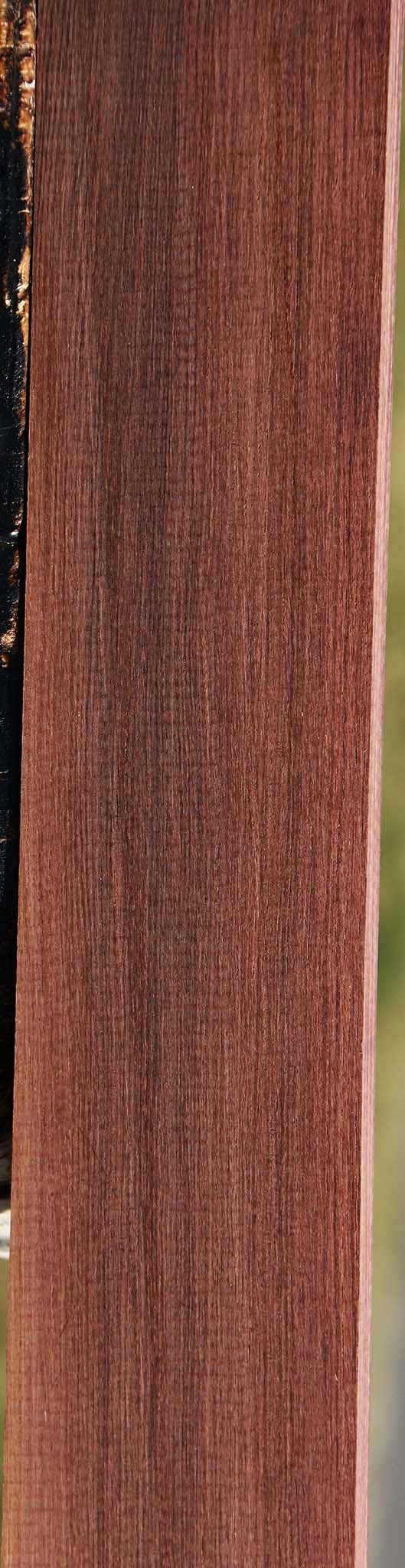 Madagascar Rosewood Lumber