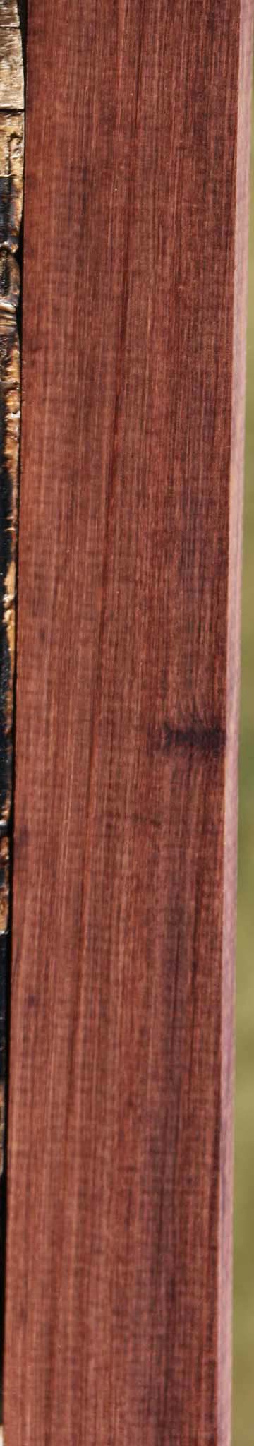 Quartersawn Madagascar Rosewood Lumber